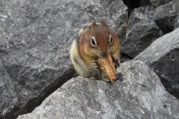 Banff National Park - Alberta - Canada - Doets Reizen