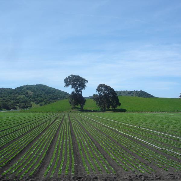Salinas - California - Amerika - Doets Reizen