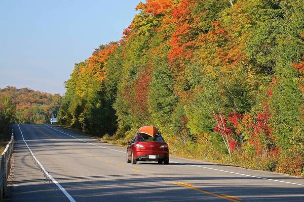 Indian Summer Algonquin Park - Ontario - Canada - Doets Reizen