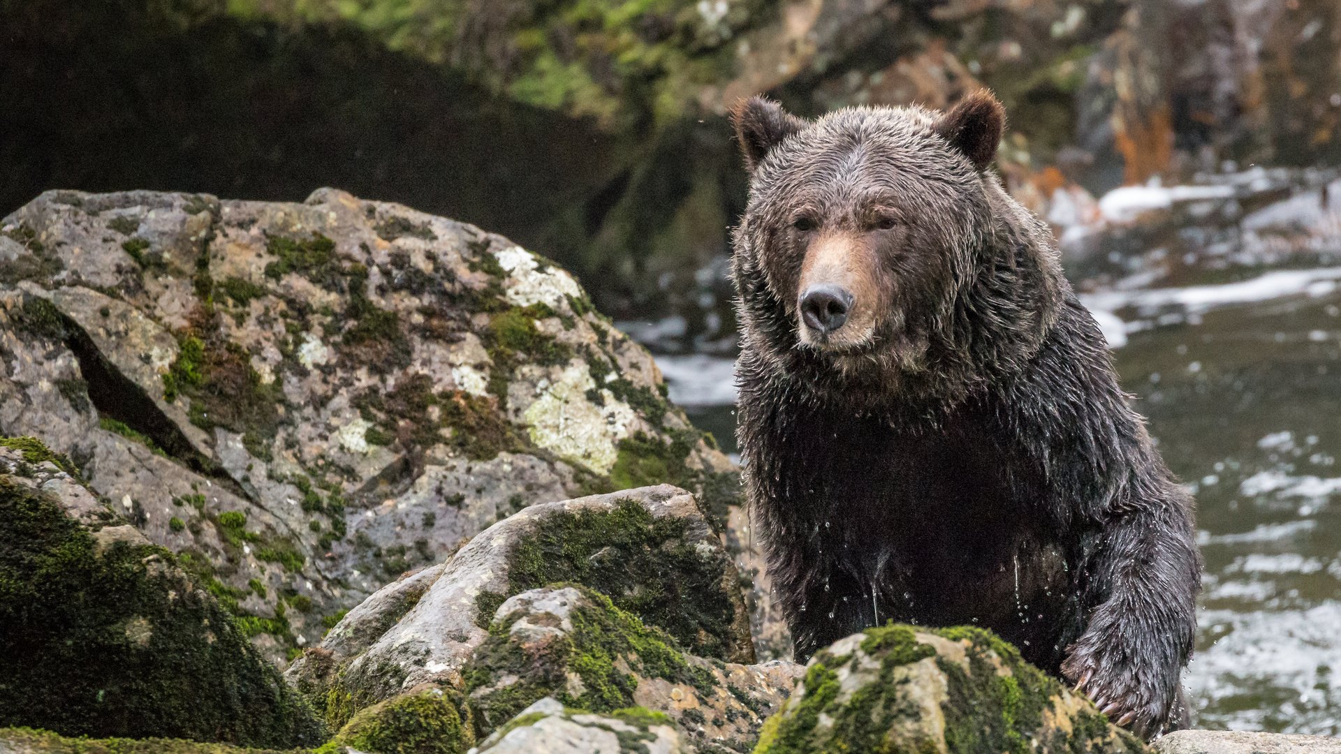Seawolf Adventures - British Columbia - Canada - Doets Reizen