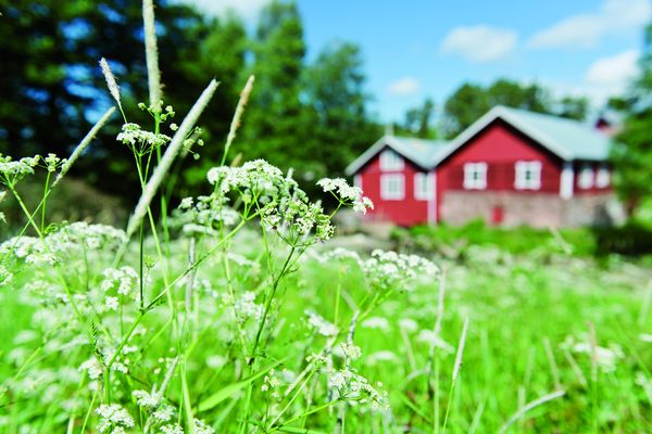 Satakunta - Doets Reizen - Vakantie Finland - Credits VisitFinland