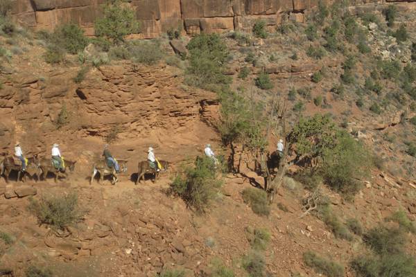 Grand Canyon - Arizona - Doets Reizen