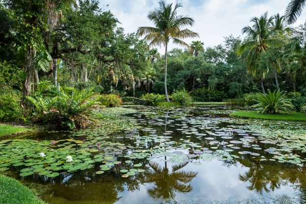Botanische Tuin - Vero Beach - Florida - Doets Reizen