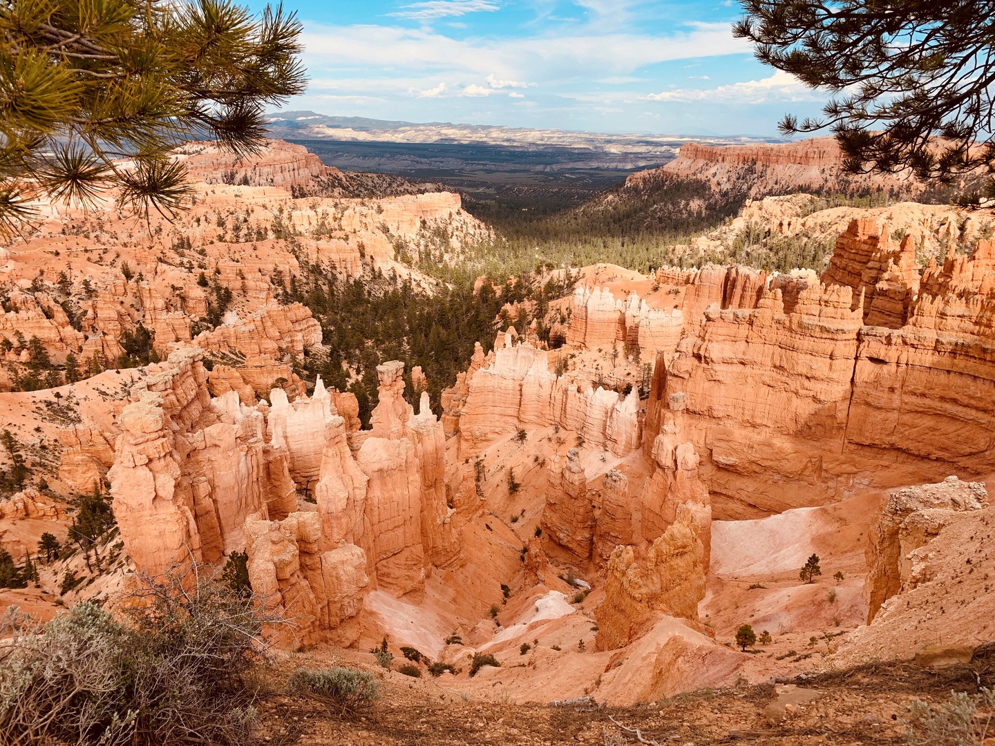 Bryce Canyon National Park - Utah - Doets Reizen