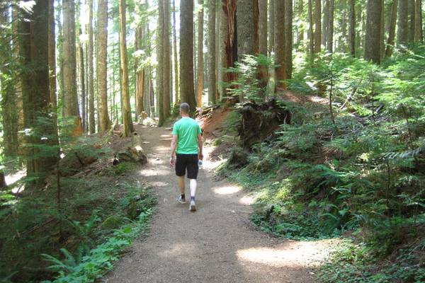 Mount Rainier National Park - Washington State - Doets Reizen