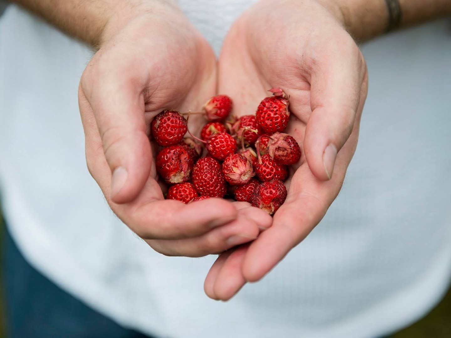 Fogo Island - Newfoundland & Labrador - Canada - Doets Reizen