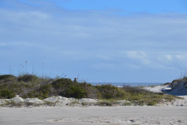 Anastasia State Park - St. Augustine - Florida - Doets Reizen