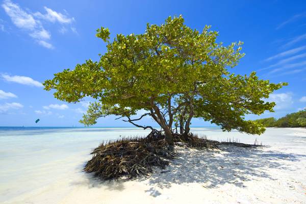 The Keys - Florida - Doets Reizen