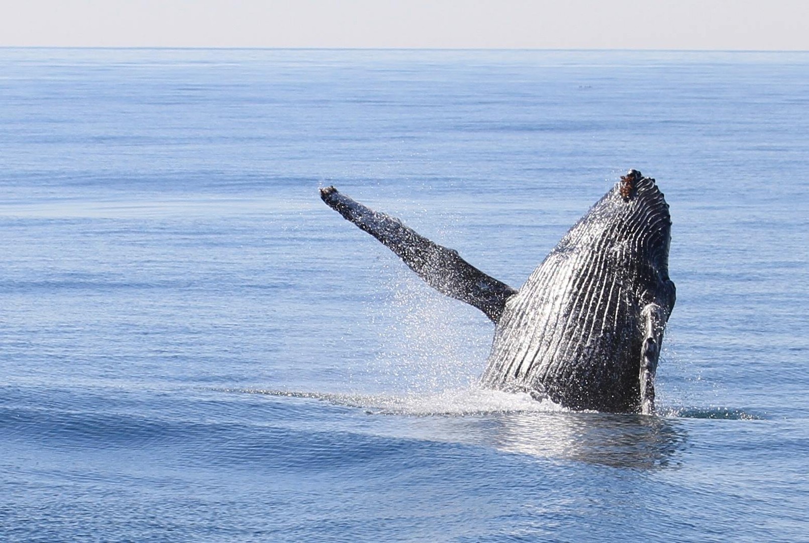Kenai Fjords National Park - Alaska - Doets Reizen