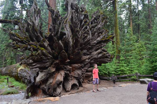Yosemite National Park - California - Doets Reizen