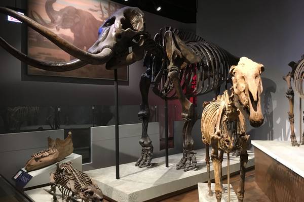 Chicago - Illinois - Doets Reizen