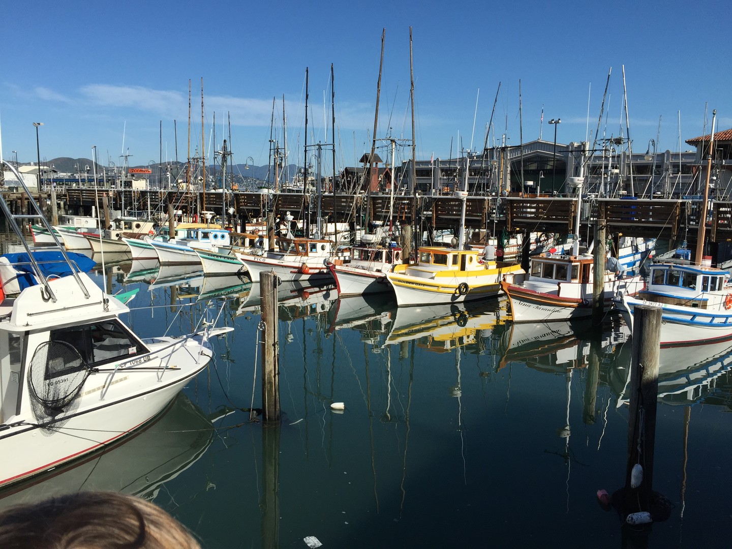 San Francisco - California - Amerika - Doets Reizen