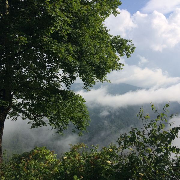 Great Smokey Mountains National Park - Tennessee - Amerika - Doets Reizen