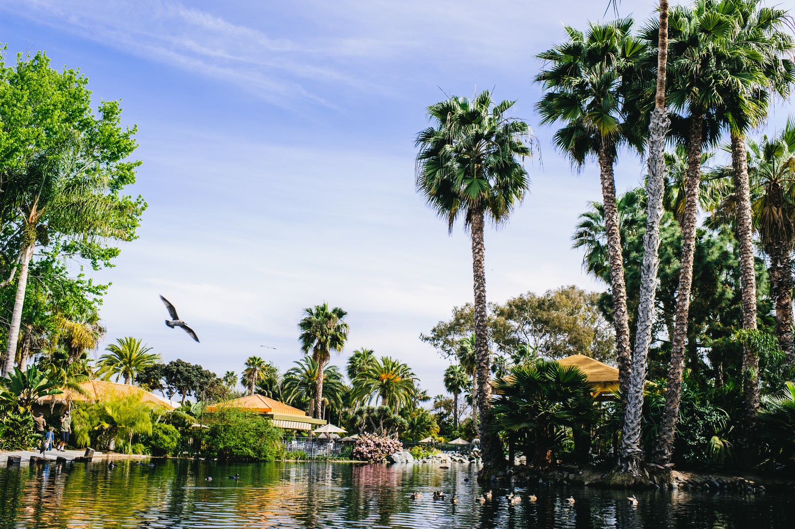 Paradise Point Resort - San Diego - California - Amerika - Doets Reizen