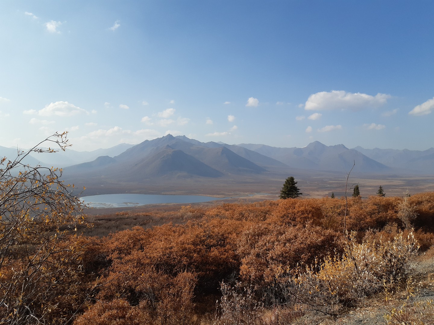 Tombstone Territorial Park - Yukon - Canada - Doets Reizen