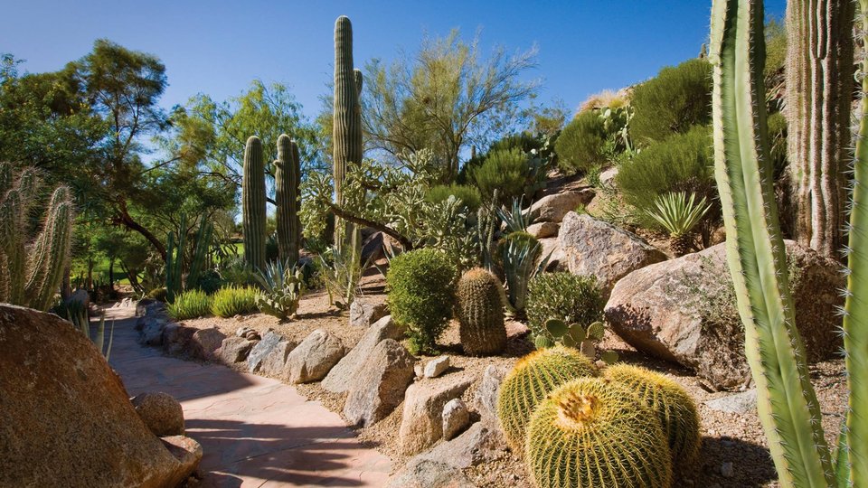 Doets Reizen - Altijd op de eerste rij, Very VIP