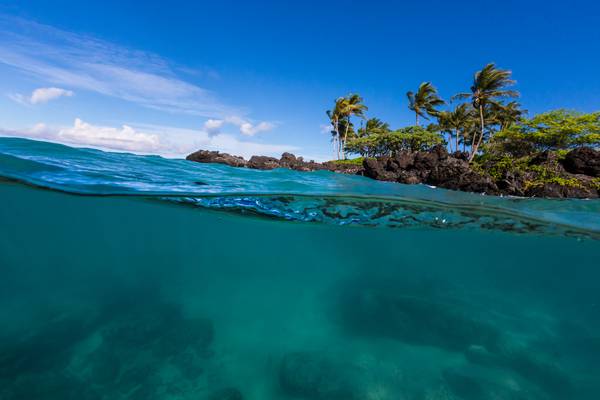 Onderwater bij het strand van het waanzinnige Kailua Kona