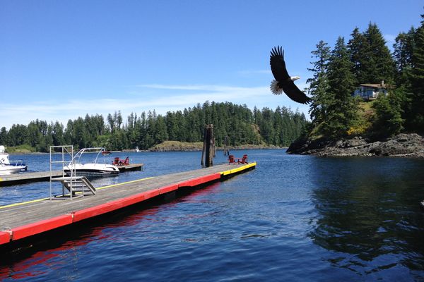 Campbell River - Vancouver Island - British Columbia - Canada - Doets Reizen