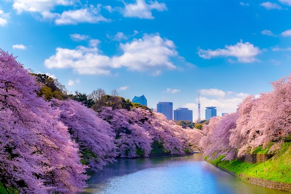 Kanagawa - Japan - Doets Reizen