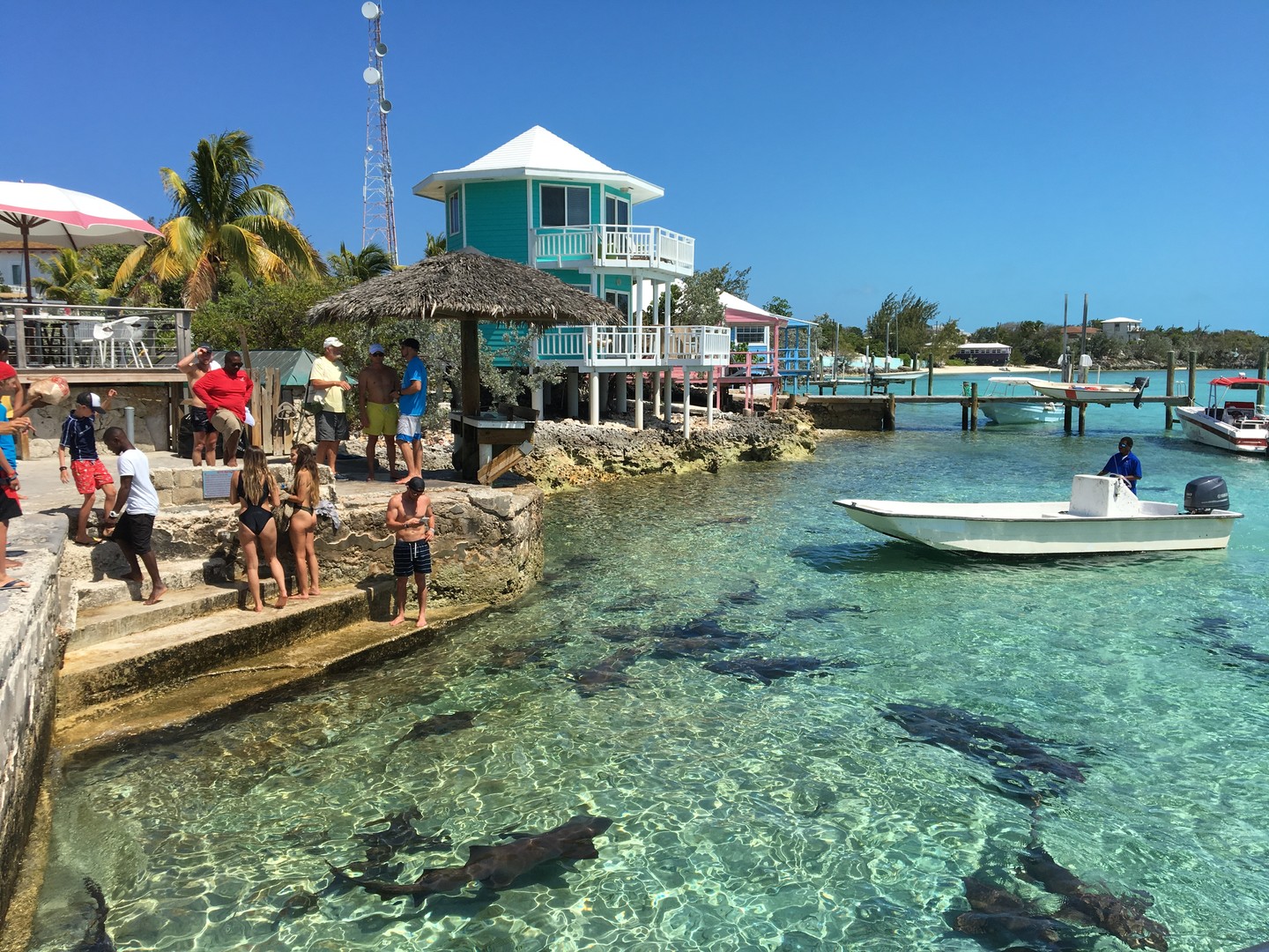 Great Exuma - Cruise Bahamas - Cruisevakantie - Doets Reizen