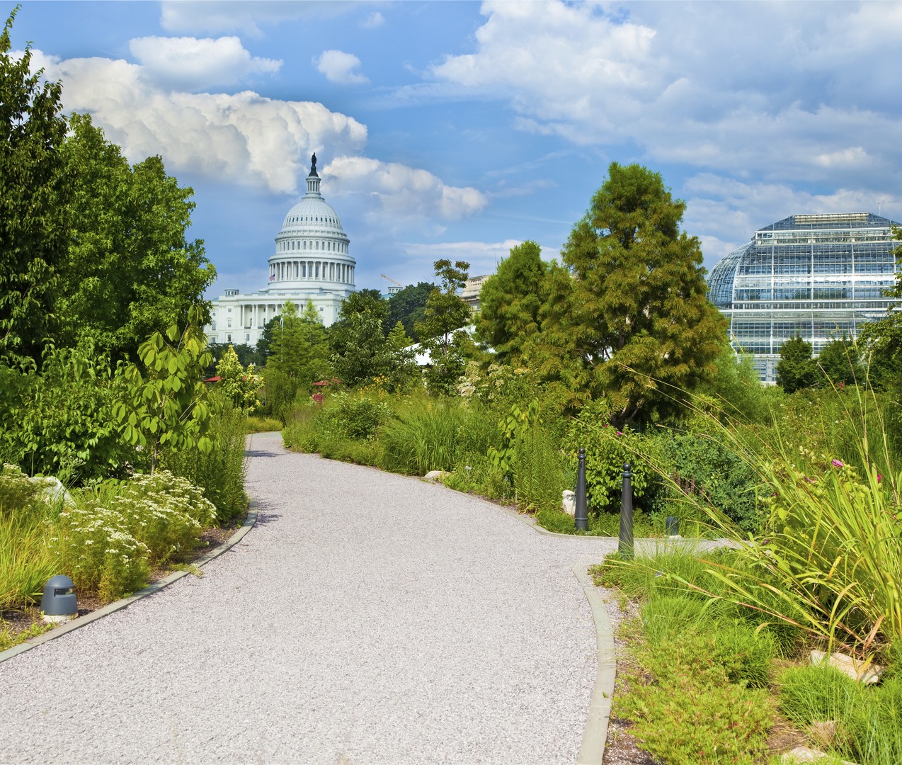 Washington D.C. - Doets Reizen