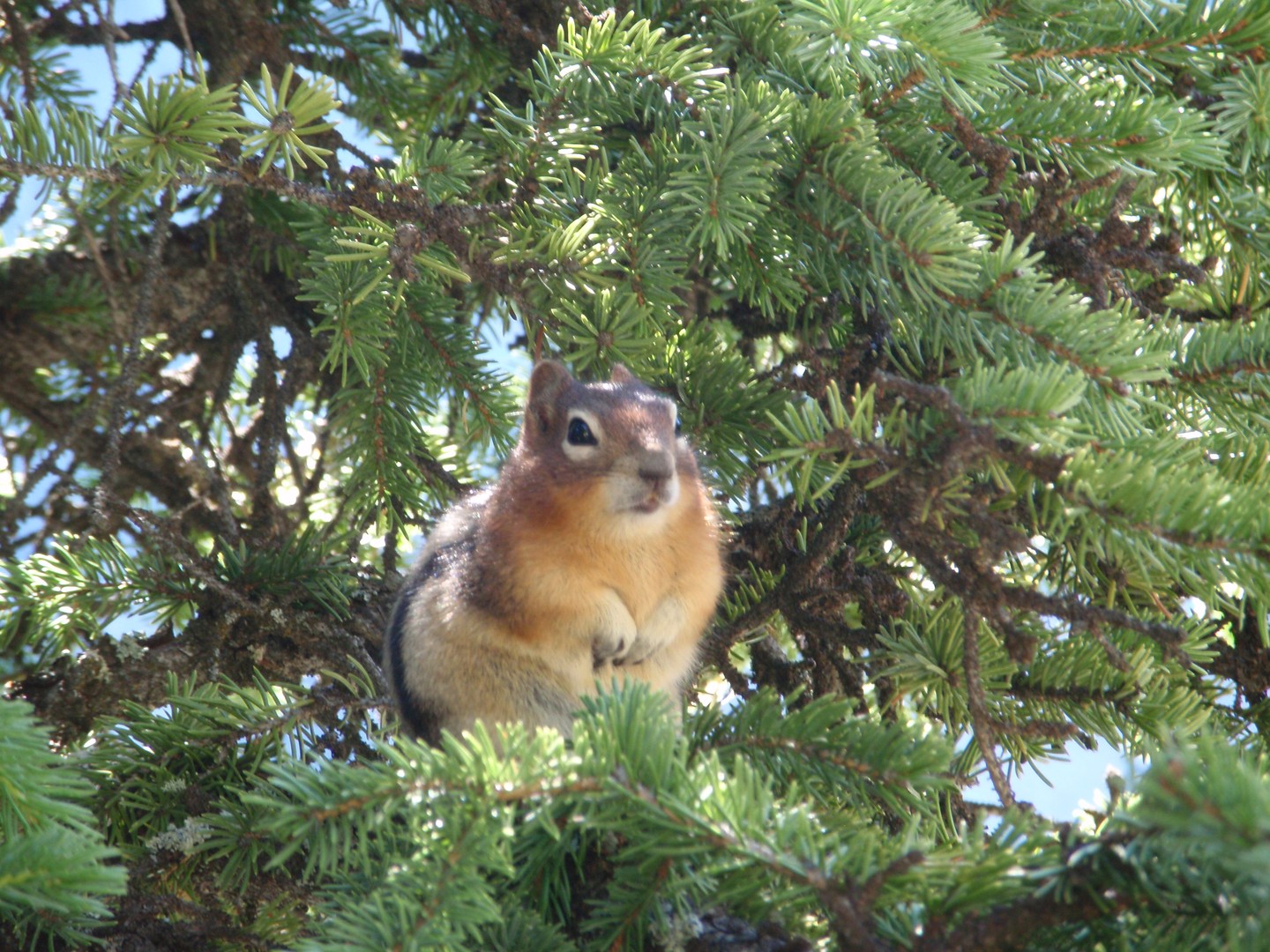 Banff National Park - Alberta - Canada - Doets Reizen
