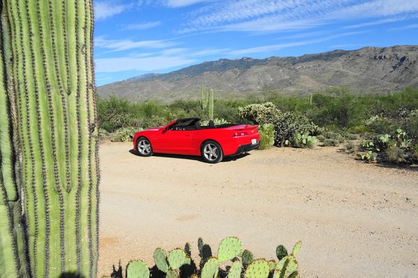 Tucson - Arizona - Doets Reizen