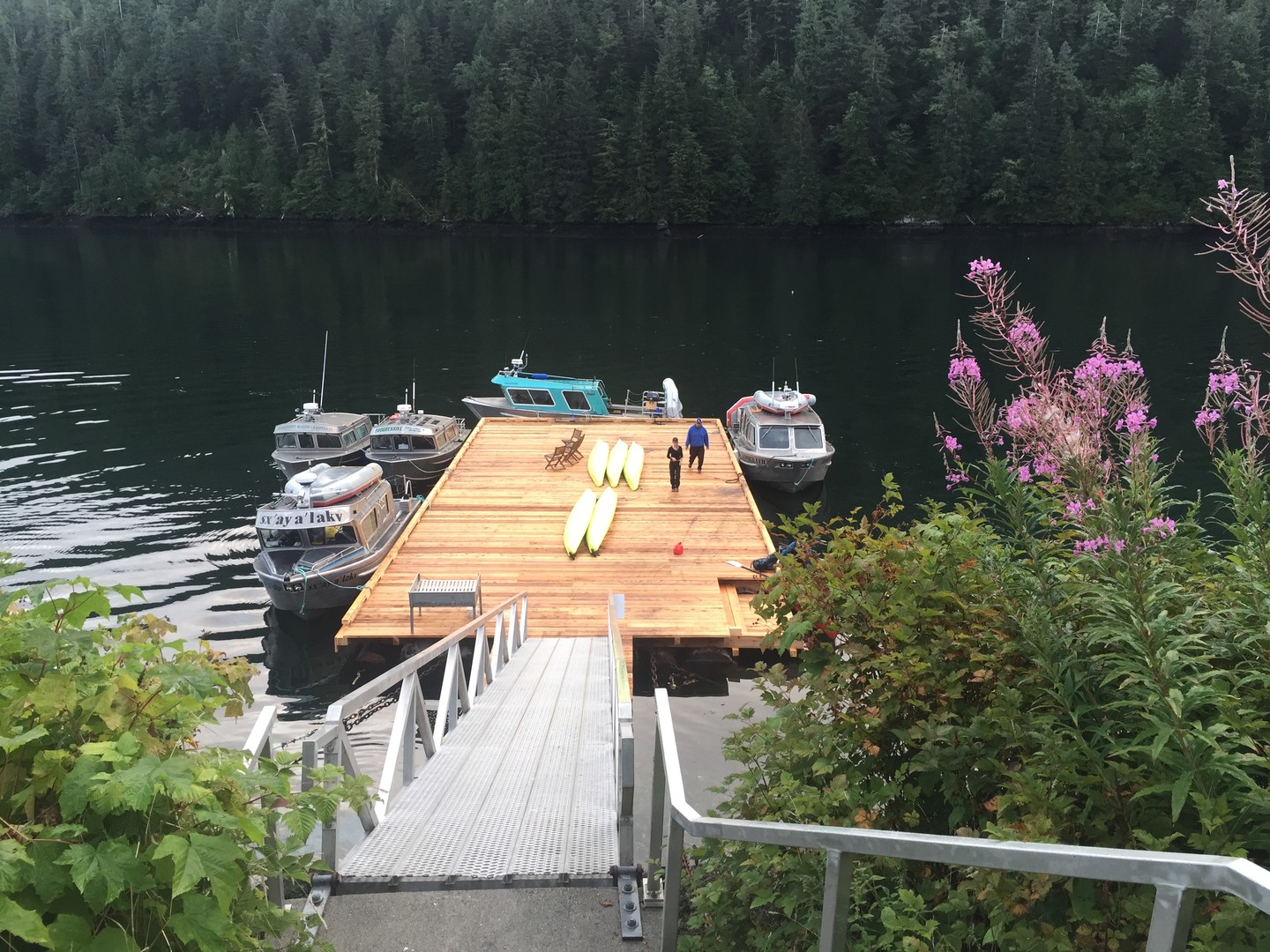 Spirit Bear Lodge - Great Bear Rainforest - British Columbia - Canada - Doets Reizen