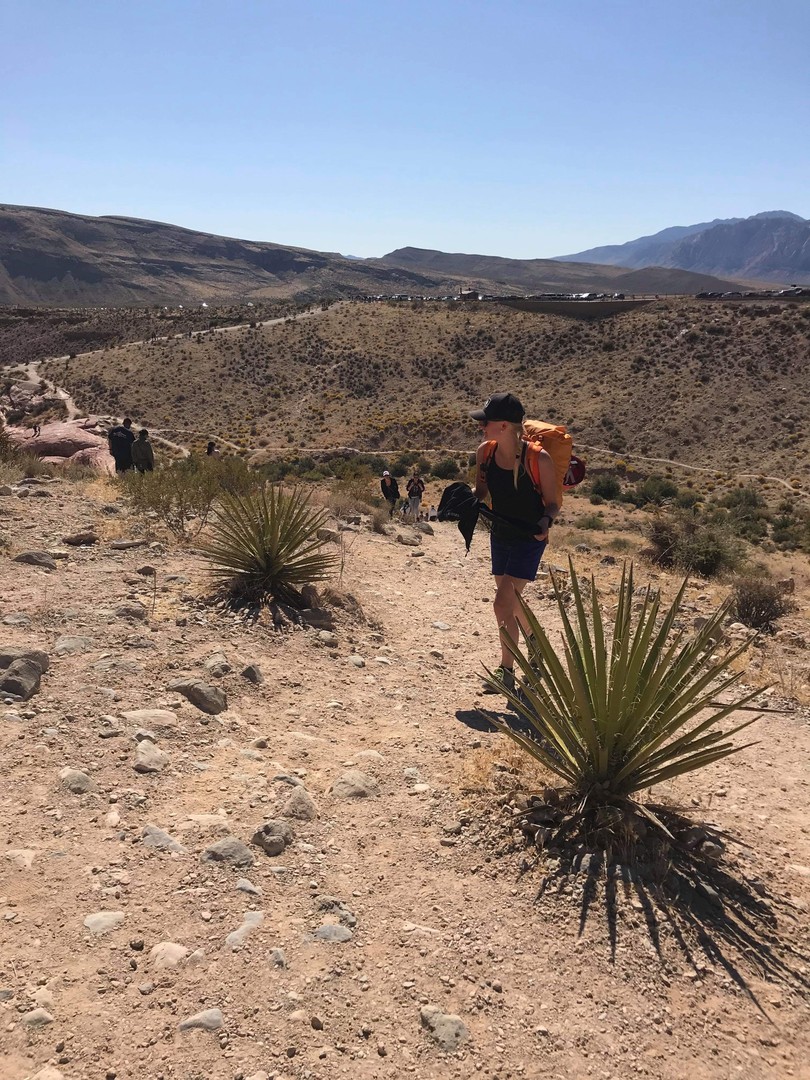 Red Rock Canyon - Nevada - Doets Reizen