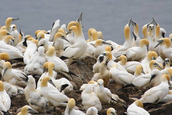Forillon National Park - Quebec - Canada - Doets Reizen