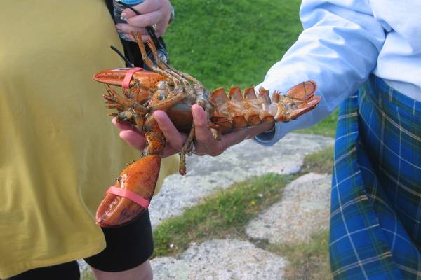 Peggy’s Cove - Novia Scotia - Canada - Doets Reizen