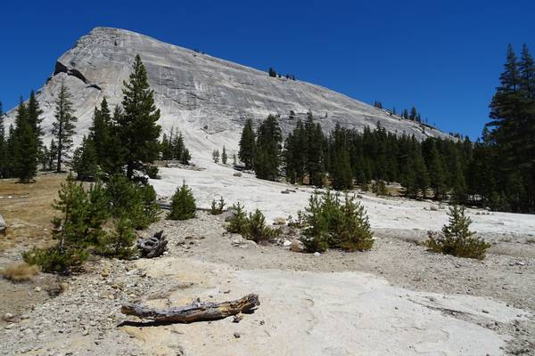 Tioga Pass - Yosemite National Park - California - Doets Reizen