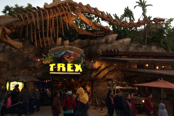 Disney - Orlando - Florida - Doets Reizen