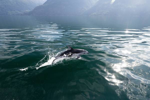 Klahoose Wilderness Resort - Wilderness Lodge Canada - Doets Reizen - Vakantie Canada - Canada Rondreis