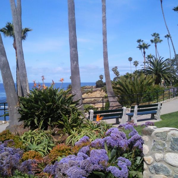 Laguna Beach - Los Angeles - California - Amerika - Doets Reizen