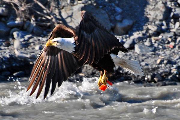 Prince William Sound - Alaska - Doets Reizen