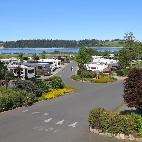 Oceanside RV Resort, uitzicht op de camping