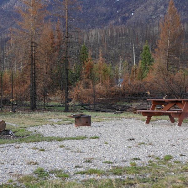 2025-05-06-Whistlers Campground-1