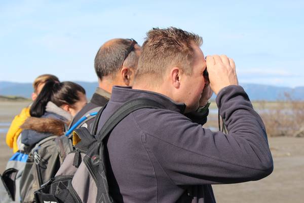 Bear & Wildlife Viewing - Homer - Alaska - Doets Reizen