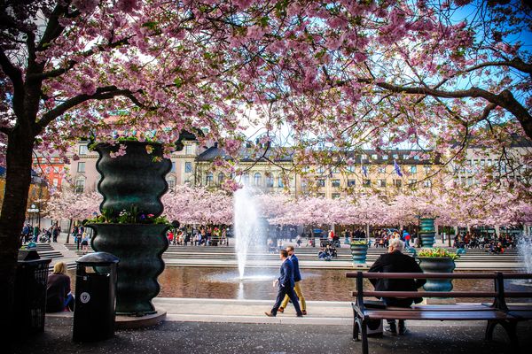 Stockholm - Doets Reizen - Vakantie Zweden - Credtis Visit Sweden