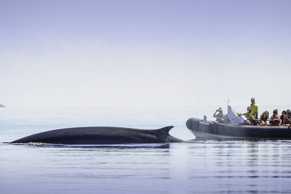 Bay of Fundy National Park - New Brunswick - Canada - Doets Reizen