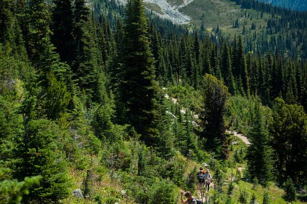 Hiken Whistler - British Columbia - Canada - Doets Reizen