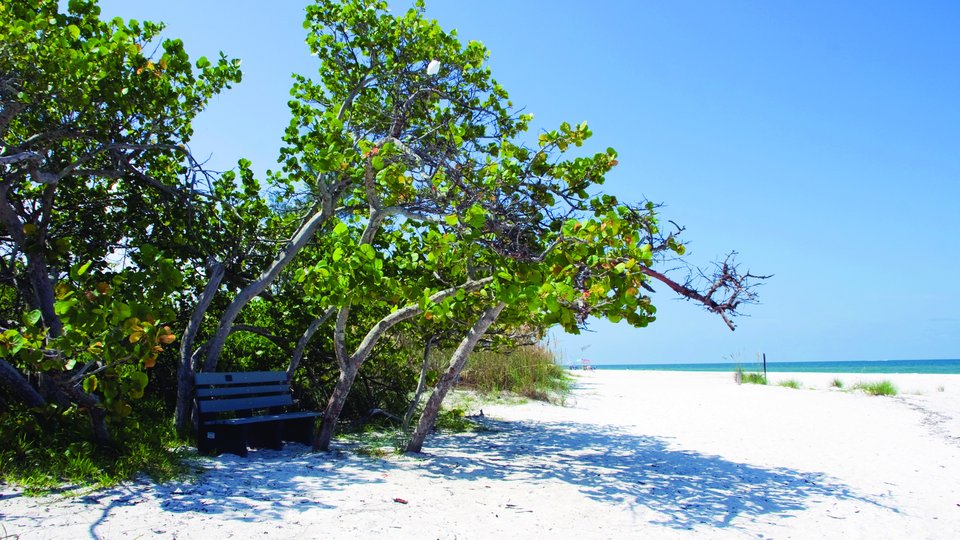 Naples - Florida - Doets Reizen