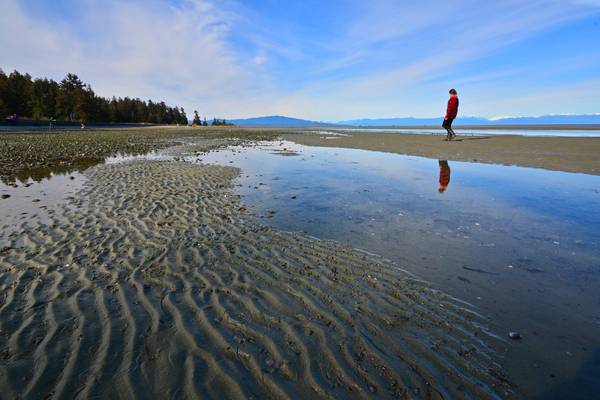 Rathtrevor Beach Provincial Park - Parksville - Canada - Photo credits: Robert Reid and BC Parks