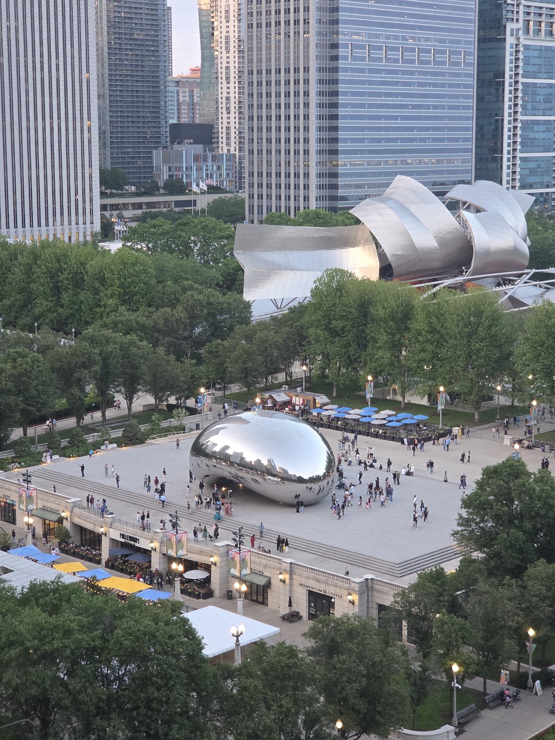 The Bean_Chicago2
