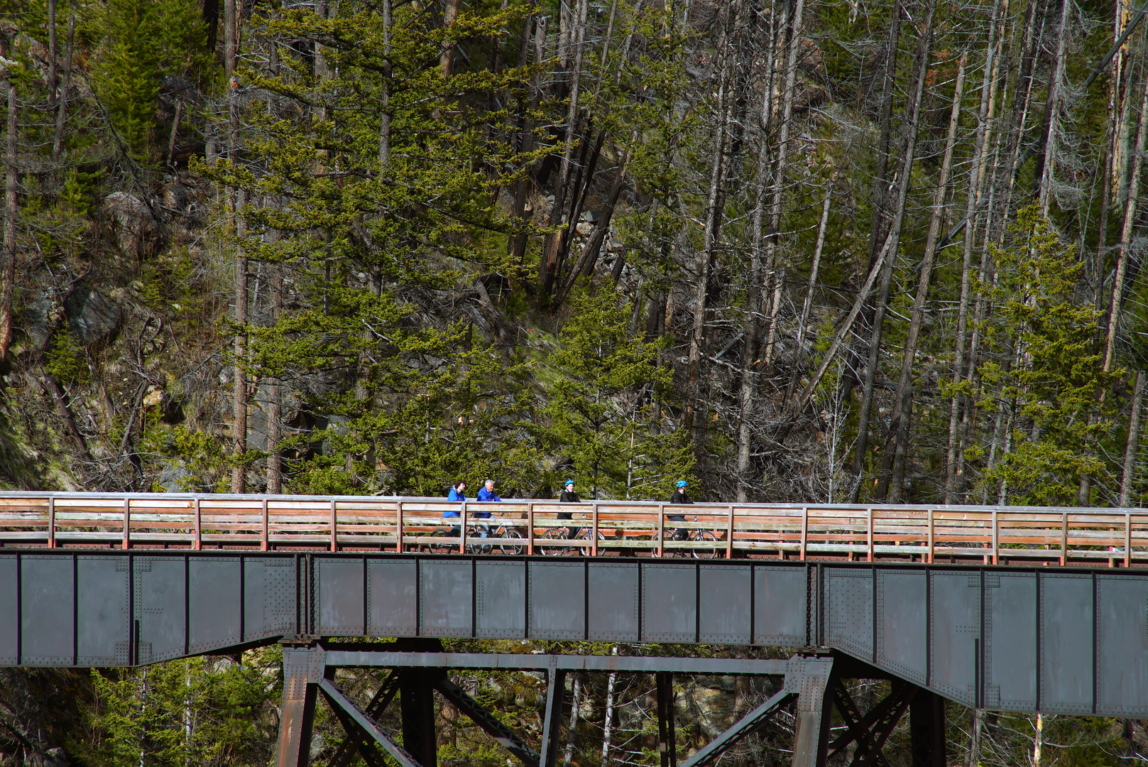 Myra Canyon Trestles & Tunnels guided bike tour - Kelowna - Okanagan Valley - British Columbia - Canada - Doets Reizen