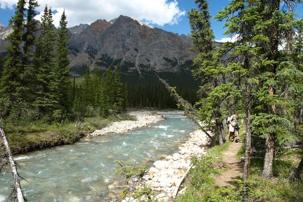 Helicoptervlucht + hike - Icefields Parkway - Alberta - Canada - Doets Reizen