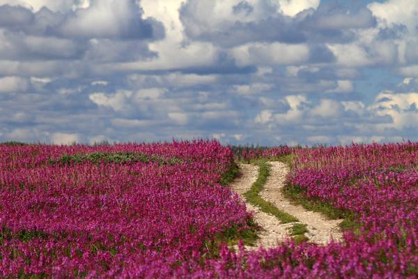 Churchill - Manitoba - Canada - Doets Reizen