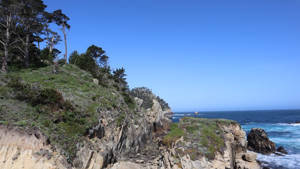Point Lobos - Amerika - California - Monterey - Doets Reizen