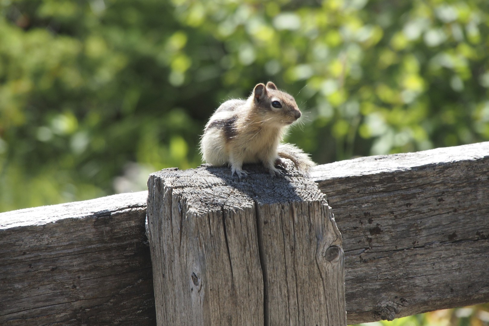 Yoho National Park - British Columbia - Canada - Doets Reizen